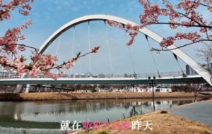 �ޏ�ȥ���\�ӹ��@���ڣ��ܵ��p��̫�зՇ���