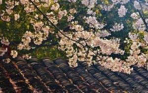 �S�ģ����_���䣡��׽�������Ě�Ϣ