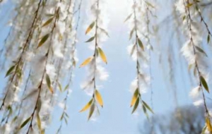 ���p������(l��i)�ˣ������ע��