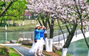 �W(w��ng)���S�ģ�ܽ�غ����p�ѣ����L(f��ng)�́�(l��i)��Ԋ(sh��)��