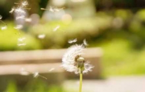 ���L���󣡽���L�����@����