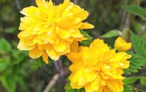 �S��۹��@�e�У������@���������������y��