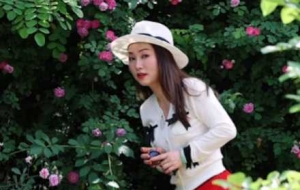 �S�ģ��e��ؓ��ǰ������ÿһ����ֵ��ӛ�