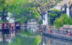 �zӰ�ĽK�c(di��n)߀���֙C(j��)����Ҳ�ǵ����Ļ����ݲݵ���o(j��)