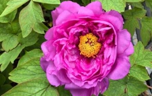 ĵ�������ڶ������M�����p���û��������e�^������