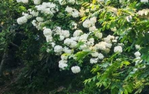 ���g���£�Īؓ��������һ·��������