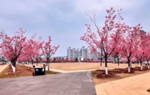 �ǅ^�ѻ�Ʒ�N���S���Ĺ��@�����g�����p�����ճ���Ƭ