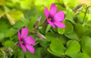 �p������(d��ng)�r(sh��)����y��Ĩ�����ۣ��@���Ƕ䶼�ÿ�