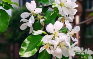 �S���ģ��M�@��ɫ�P(gu��n)��ס�����g̎̎�Ƿҷ�